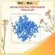 Sáp Wax Lông Dừa Xanh Premier Netta Waxing - Wax Sạch Mọi Loại Lông 1